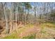 Expansive backyard featuring mature trees and natural landscaping at 120 Mill Creek Ct, Acworth, GA 30101