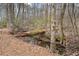 The property features a small brook running along the back, among trees and bushes at 1525 Camden Cove Dr, Cumming, GA 30040
