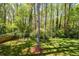 Spacious backyard with mature trees and landscaping at 4400 Huntington Cir, Dunwoody, GA 30338