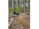 A view of the backyard with a partially visible stone walkway at 165 Woodhaven Way, Alpharetta, GA 30009