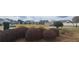 Landscaped view of a community park with playground, picnic area, and walkways at 3775 Pine Village Pl, Loganville, GA 30052