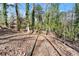 A natural walking path covered with leaves winds through a tranquil wooded area, connecting to the main home at 2655 Lakeside Trl, Cumming, GA 30041
