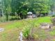 Yard featuring a small shed surrounded by a natural landscape at 118 Raven Rd, Villa Rica, GA 30180