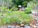 Landscaped yard featuring shrubbery and rock details at 118 Raven Rd, Villa Rica, GA 30180