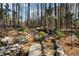 Backyard water feature with rock details and lush foliage, creating a calming atmosphere at 4053 Thompson Mill Rd, Buford, GA 30519