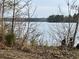 Lake view featuring trees along shoreline and calm water at 2443 Highway 92 S, Fayetteville, GA 30215