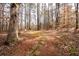 Secluded backyard space with a stone path leading to seating at 706 Registry Run, Kennesaw, GA 30152