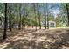 The property has a backyard view featuring mature trees and foliage and showcasing the expansive landscape at 396 Academy St, Alpharetta, GA 30009