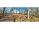 Scenic backyard with a wood fence and natural landscaping creates a private and peaceful atmosphere at 272 Lynshire Sw Ct, Marietta, GA 30064