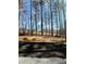 View of cleared lot featuring tall trees at 5075 Forest Downs Ln, Atlanta, GA 30349
