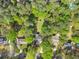 Aerial view of a home with a large, well-maintained backyard and mature trees at 10070 Timberstone Rd, Johns Creek, GA 30022