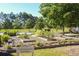 A beautiful community garden with raised beds, ready for planting, surrounded by mature trees at 81 Richmond Way, Villa Rica, GA 30180