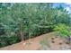 Scenic backyard view with mature trees at 110 Mountain Laurel Ct, Canton, GA 30114