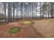 The backyard putting green is surrounded by pine straw and mature trees for secluded practice at 151 Creek Bank Dr, Acworth, GA 30101