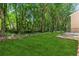 Beautiful backyard with mature trees and green grass and small patio at 3277 Wyesham Cir, Duluth, GA 30096