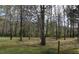 Spacious backyard with mature trees, partial clearing, and green lawns at 512 E Valley Ne Rd, Rydal, GA 30171