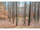Natural landscape featuring a wooded backyard with mature trees providing shade and privacy at 4751 Bill Cheek Rd, Auburn, GA 30011