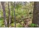 Lush backyard featuring a stream and dense green foliage, offering privacy and natural beauty at 633 N Fairfield Dr, Peachtree City, GA 30269