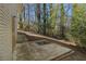Backyard with a concrete patio, bordered by lush greenery and tall trees offering privacy and natural beauty at 1702 Danrich Dr, Decatur, GA 30032