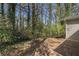Overgrown backyard with privacy provided by surrounding trees at 1702 Danrich Dr, Decatur, GA 30032