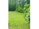 Lush green backyard with mature trees, offering privacy and a serene outdoor space at 3550 Gravitt Rd, Cumming, GA 30040