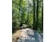 Long, private driveway winding through a lush green forest and leading up to the home at 3550 Gravitt Rd, Cumming, GA 30040