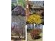 Attractive landscaping featuring a colorful variety of bushes and trees at 3550 Gravitt Rd, Cumming, GA 30040