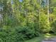 Lush, wooded property with mature trees and dense foliage at 3550 Gravitt Rd, Cumming, GA 30040