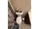A bathroom toilet and surrounding decor elements add to the atmosphere at 398 Kyles Cir, Hiram, GA 30141