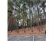 Back of the property with trees during autumn at 925 Seasons Pkwy, Norcross, GA 30093