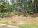 Green backyard area featuring mature trees, landscaping, and a serene outdoor space at 3070 Ridge Oak Dr, Suwanee, GA 30024
