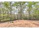 Large, cleared backyard with bordering fence, great for recreation at 8155 Legends View Ct, Cumming, GA 30028
