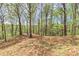 Secluded backyard with a wooded backdrop provides a peaceful view at 8155 Legends View Ct, Cumming, GA 30028