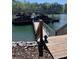 Multi-slip boat dock with sunshade, ladder, stairs, and close lake access from the property at 3560 Chattahoochee Rd, Cumming, GA 30041