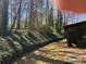 Backyard featuring a path on a grass hillside lined with trees and greenery at 285 Old College Way, Atlanta, GA 30328