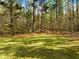 Lush green lawn with mature trees creating a private and serene backyard at 1544 Blue Bird Way, Cumming, GA 30041