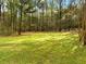 Expansive green lawn with mature trees, creating a private and serene backyard at 1544 Blue Bird Way, Cumming, GA 30041