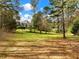 Spacious backyard with lush greenery and mature trees, offering a private and serene retreat at 1544 Blue Bird Way, Cumming, GA 30041