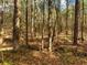 Scenic view of mature trees, creating a private and serene backdrop at 1544 Blue Bird Way, Cumming, GA 30041