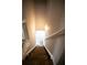 Carpeted stairway leading upstairs, featuring white railings and a light fixture at 102 Silver Fox Trl, Dallas, GA 30157