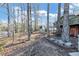Expansive backyard with a view of the lake, partial fence, and mature trees, offering a peaceful outdoor retreat at 4258 Rocky Ledge Way, Snellville, GA 30039