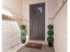 Inviting entryway featuring a stylish front door, brick accents, and manicured topiaries for a warm welcome at 100 Westchester Pass, Peachtree City, GA 30269