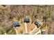 Aerial view of homes in community with mature trees at 9645 Dunhill Way, Cumming, GA 30028