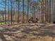 A delightful community playground with a variety of equipment set amongst tall trees offering a fun and active experience at 215 Morning Glory Rdg, Canton, GA 30115