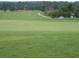 Scenic golf course view with a red flag at 2126 Jernigan Se Dr, Atlanta, GA 30315