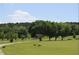 Scenic view of the green golf course at 2126 Jernigan Se Dr, Atlanta, GA 30315