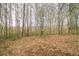 Expansive backyard features leafless trees, offering privacy and potential for outdoor activities at 3302 Waldrop Trl, Decatur, GA 30034