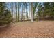 View of the home's wooded backyard at 4554 Alaspair Ln, Acworth, GA 30101