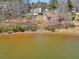 Aerial view of a home near a lake, showcasing its backyard and water access at 180 Allie Dr, Mcdonough, GA 30252
