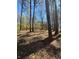 Image of a wooded lot showing the potential of a spacious property at 2103 River Rd, Ellenwood, GA 30294